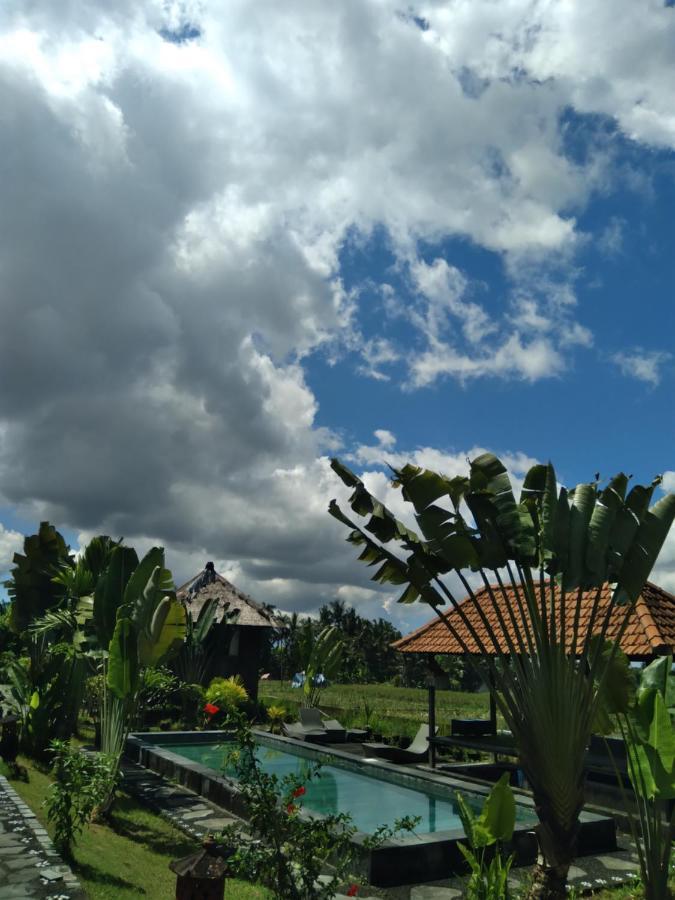 Taman Bintang Villa Ubud Zewnętrze zdjęcie