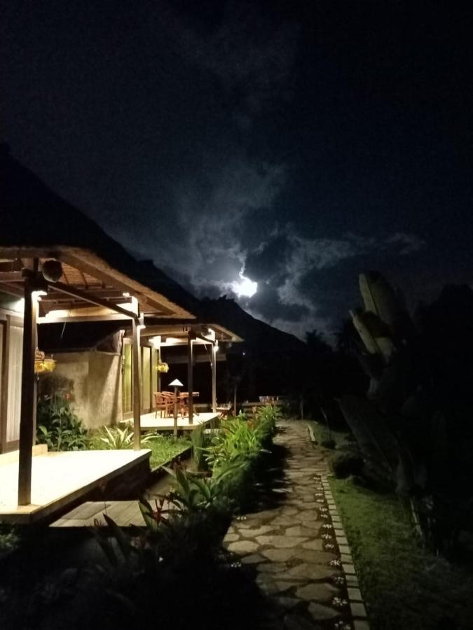 Taman Bintang Villa Ubud Zewnętrze zdjęcie