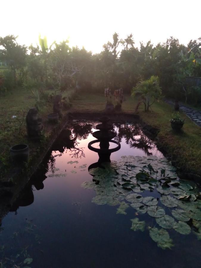 Taman Bintang Villa Ubud Zewnętrze zdjęcie