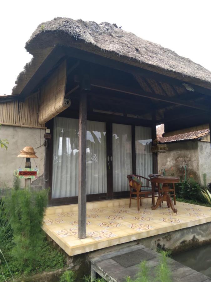Taman Bintang Villa Ubud Zewnętrze zdjęcie