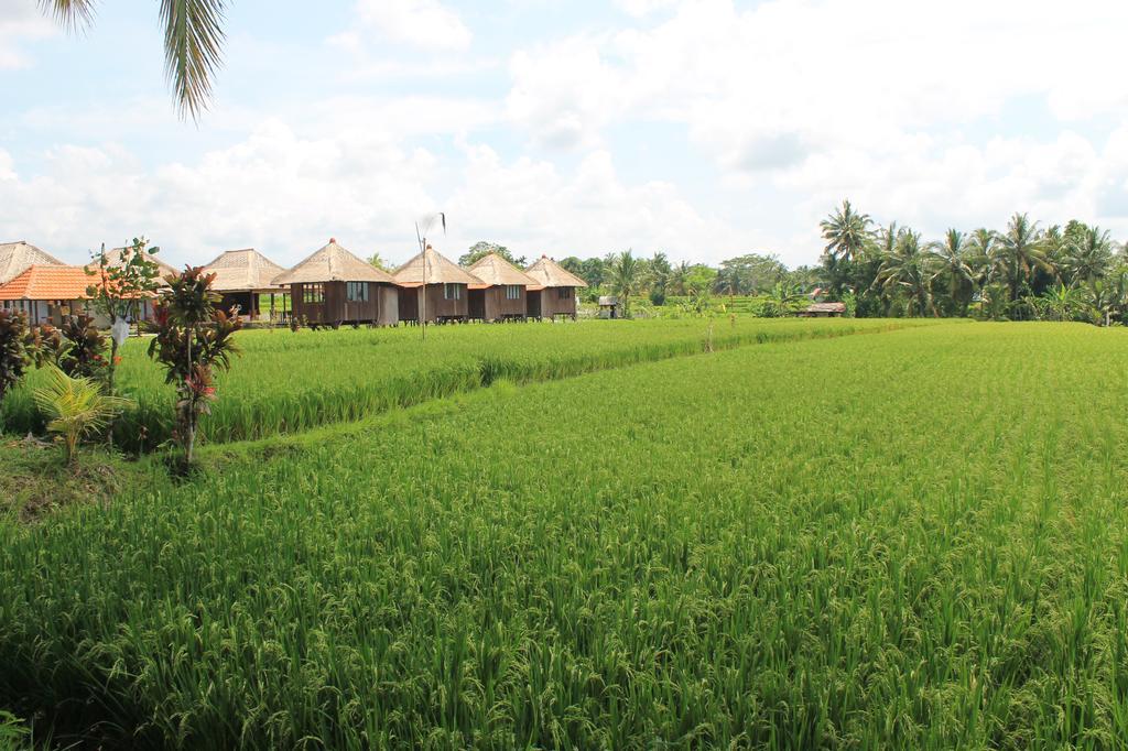 Taman Bintang Villa Ubud Zewnętrze zdjęcie